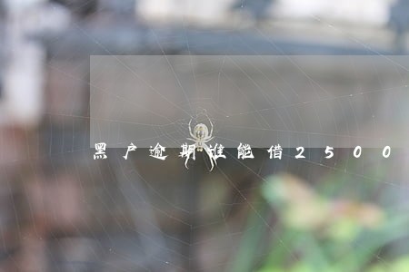 黑户逾期谁能借25000 黑户逾期谁能借25000