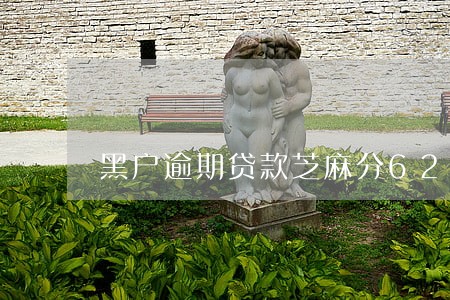 黑户逾期贷款芝麻分629