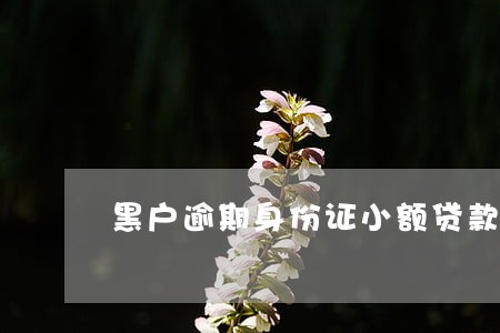 黑户逾期身份证小额贷款吗 黑户逾期身份证小额贷款吗