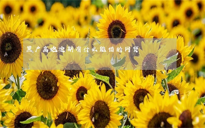 黑户高炮逾期有什么能借的网贷