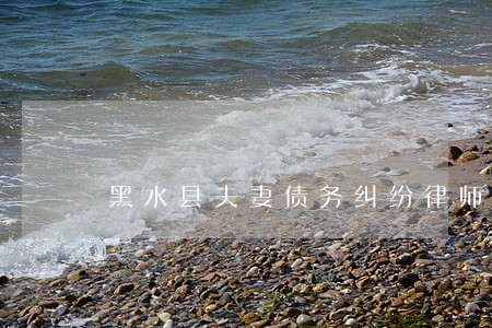 黑水县夫妻债务纠纷律师 黑水县夫妻债务纠纷律师