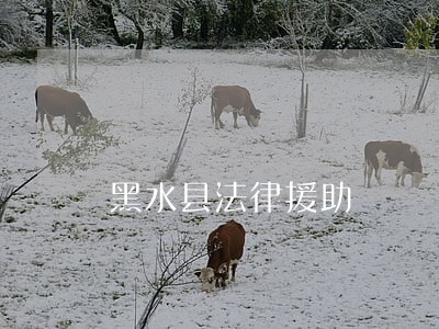 黑水县法律援助