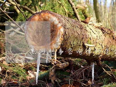 黑河刑事咨询律师怎么收费 黑河刑事咨询律师怎么收费