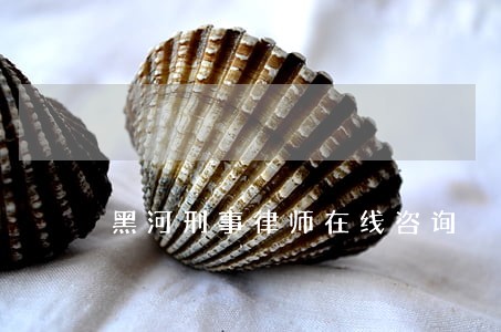 黑河刑事律师在线咨询 黑河刑事律师在线咨询