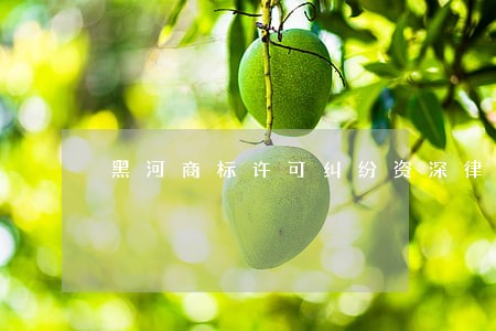 黑河商标许可纠纷资深律师 黑河商标许可纠纷资深律师