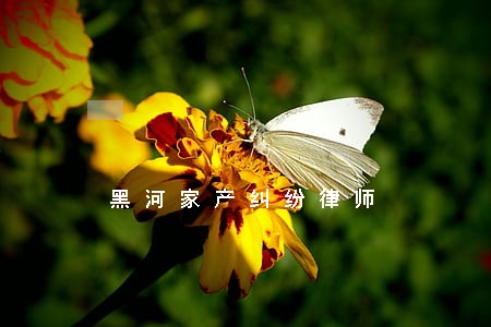 黑河家产纠纷律师