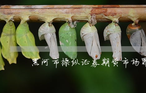 黑河市操纵证券期货市场罪律师 黑河市操纵证券期货市场罪律师