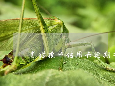 黑猫投诉信用卡逾期有用吗