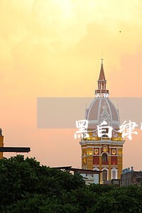 黑白律师2永不妥协 黑白律师2永不妥协
