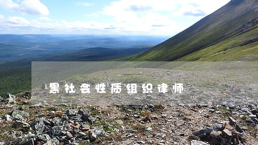黑社会性质组织律师 黑社会性质组织律师