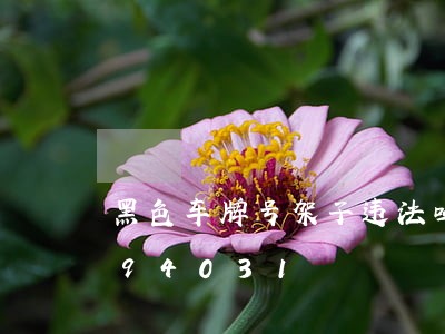 黑色车牌号架子违法吗/2023012694031 黑色车牌号架子违法吗/2023012694031