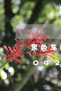 黑色车牌框违法吗/2023020396042 黑色车牌框违法吗/2023020396042