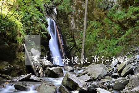 黑莓商标侵权诉讼和解 黑莓商标侵权诉讼和解