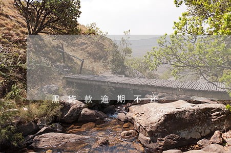 黑贷款逾期不还 黑贷款逾期不还