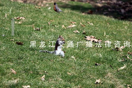 黑龙江交通广播法律咨询热线 黑龙江交通广播法律咨询热线