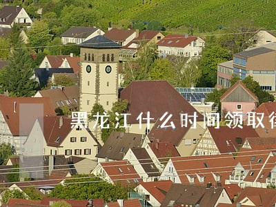 黑龙江什么时间领取律师证 黑龙江什么时间领取律师证