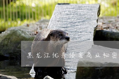 黑龙江优秀侵害商业秘密律师