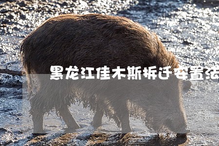 黑龙江佳木斯拆迁安置法律咨询 黑龙江佳木斯拆迁安置法律咨询