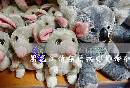 黑龙江债务债权律师哪个好 黑龙江债务债权律师哪个好