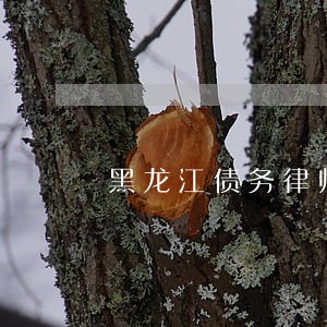 黑龙江债务律师咨询费多少 黑龙江债务律师咨询费多少