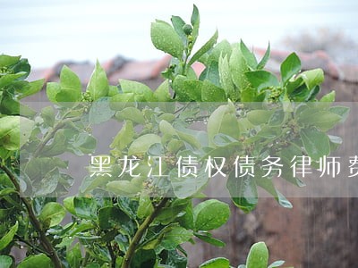 黑龙江债权债务律师费用 黑龙江债权债务律师费用