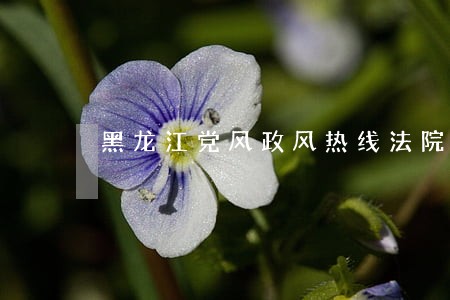 黑龙江党风政风热线法院骂人 黑龙江党风政风热线法院骂人