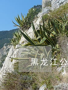 黑龙江公务员司法系统 黑龙江公务员司法系统