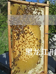 黑龙江刑事犯罪律师怎么收费