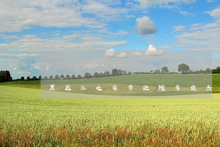 黑龙江北安市法院李俊杰