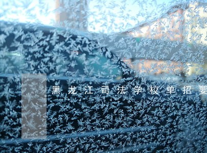 黑龙江司法学校单招要求 黑龙江司法学校单招要求