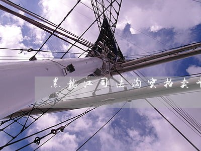 黑龙江司法淘宝拍卖平台 黑龙江司法淘宝拍卖平台