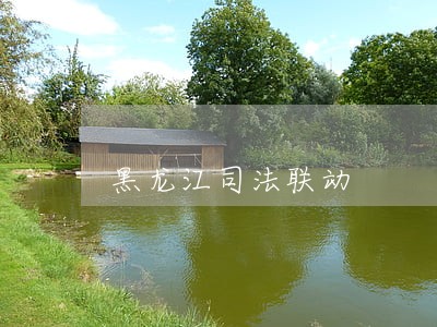 黑龙江司法联动 黑龙江司法联动