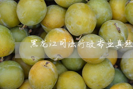 黑龙江司法行政专业真题及答案 黑龙江司法行政专业真题及答案