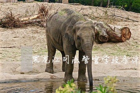 黑龙江司法警官学校条件 黑龙江司法警官学校条件