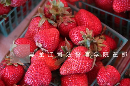 黑龙江司法警官学院在那 黑龙江司法警官学院在那