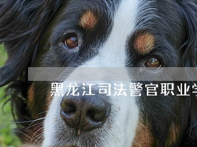 黑龙江司法警官职业学院单招生