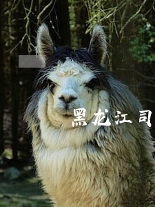 黑龙江司法警官职业学院合并 黑龙江司法警官职业学院合并
