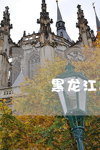 黑龙江司法警官职业学院学会生