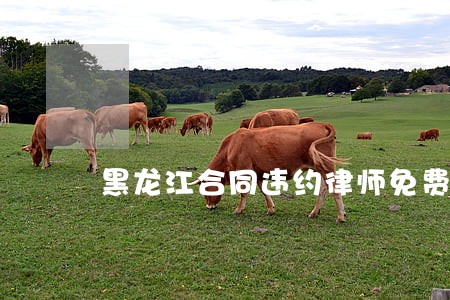 黑龙江合同违约律师免费在线咨询