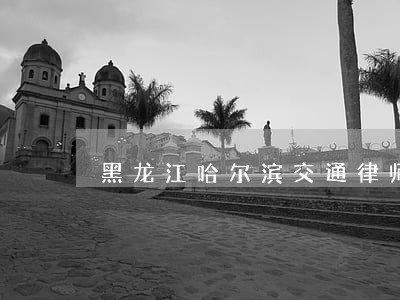 黑龙江哈尔滨交通律师委托咨询 黑龙江哈尔滨交通律师委托咨询