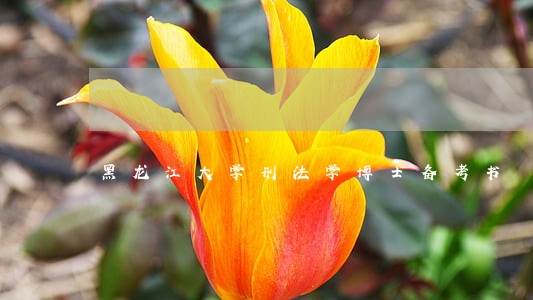 黑龙江大学刑法学博士备考书 黑龙江大学刑法学博士备考书