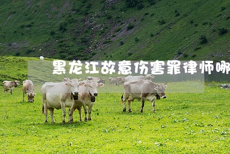 黑龙江故意伤害罪律师哪家好 黑龙江故意伤害罪律师哪家好