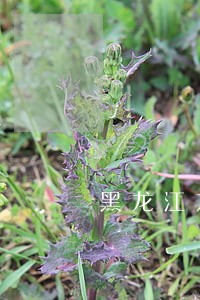 黑龙江方圆律师事务所电话 黑龙江方圆律师事务所电话