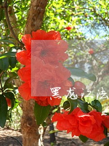 黑龙江法制频道关于香坊医院 黑龙江法制频道关于香坊医院
