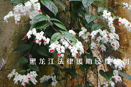 黑龙江法律援助经费使用