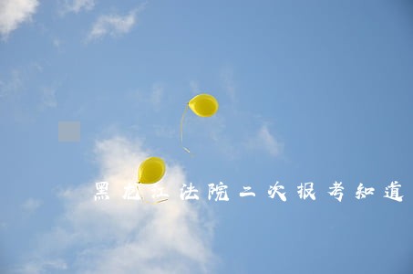 黑龙江法院二次报考知道人数吗