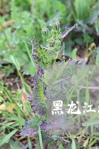 黑龙江法院入额工作方案 黑龙江法院入额工作方案