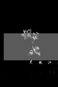 黑龙江法院对民间借款审查规定 黑龙江法院对民间借款审查规定