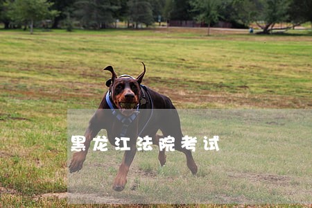 黑龙江法院考试
