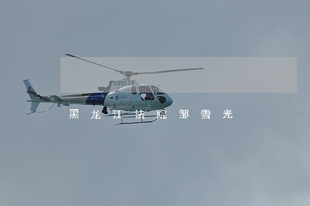 黑龙江法院邹雪光